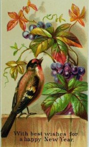 1880's-90's Embossed Victorian New Year's Card Wild-Bird Berries Vine P78