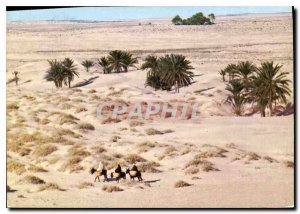 Postcard Modern Tunisia South Grand