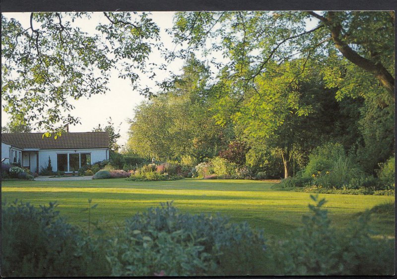 Hampshire Postcard - Forest Edge, Andover Down, Andover    LC4717