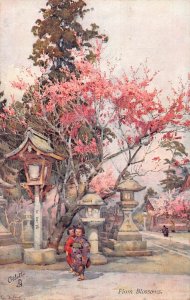 B245 Japan Flum Blossoms Native Girls Art vintage postcard