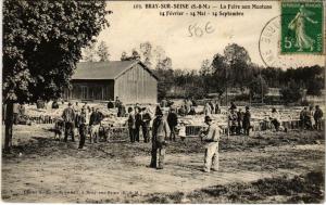 CPA AK BRAY-sur-SEINE La Foire aux Moutons (861389)