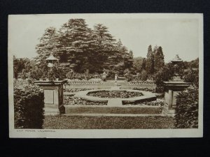 Shropshire LILLESHALL HALL Lily Ponds c1920s Postcard by R.A.P.