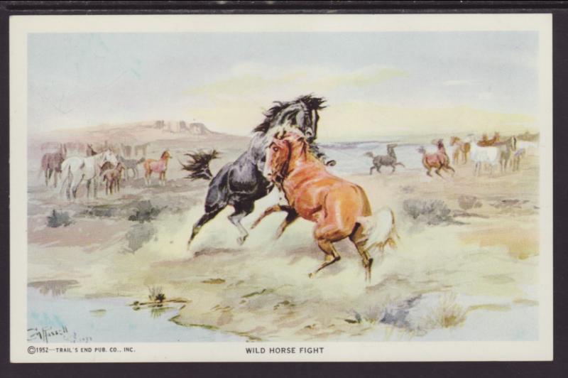 Wild Horse Fight,Charles Russell Painting