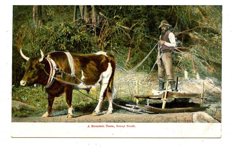 Southern Mountain Ox & Sled & Farmer