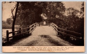 Concord Massachusetts~Old North Bridge Scene~Minute Man Monument~c1910 Postcard