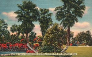 Orlando Florida The Palms Cherokee Park The Beautiful City FL Vintage Postcard