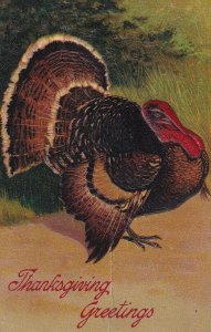 PU-1910; Thanksgiving Greetings, Turkey