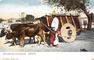Ox Cart & Driver Mexico 1910c postcard