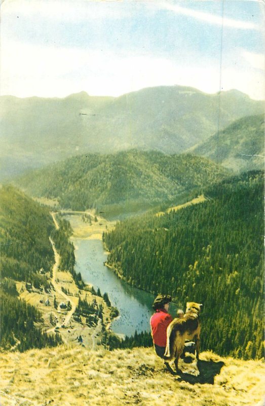 Postcard Romania Lacul Rosu vedere generala panoramica caine padure munti