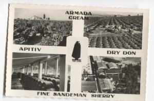 RPPC Postcard Advertising Sandeman Vineyards & Bodegas