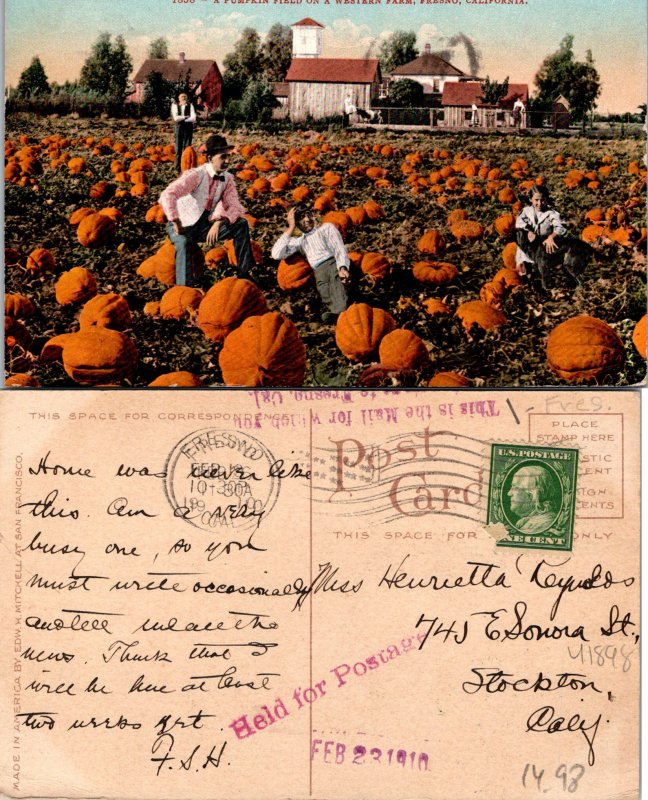 Fresno CA Pumplon Field Western Farm Postcard Used (41898)