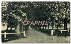 Postcard Old Boissy St Leger S and O Allee du Chateau of Piple