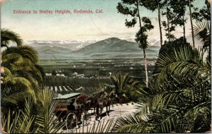 Redlands, California Entrance to Smiley Heights, Horse&Buggy, Mountain Range-A32 