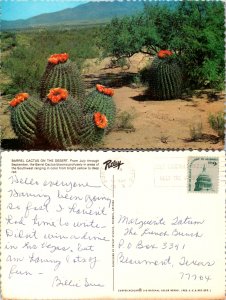 Barrel Cactus on the Desert (10483)