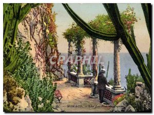 Old Postcard Monaco exotic gardens