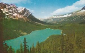 Canada Mount Patterson and Peyto Lake Icefields Highway Alberta