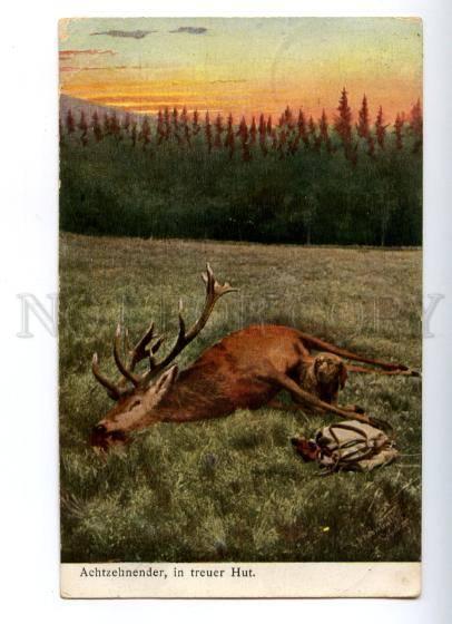 156663 Summer Hunt DEER & POINTER Vintage colorful PC