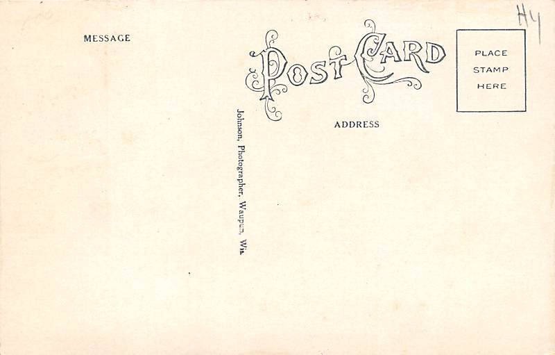 Cattle Cows/Cattle Unused 