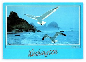 Foggy Coastline Washington Postcard Continental View Card