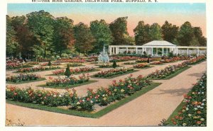 Vintage Postcard 1920's The Rose Flower Garden Delaware Park Buffalo New York NY