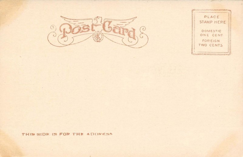 Carnegie Library Eugene Oregon 1907c postcard