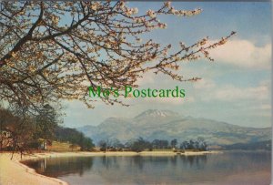 Scotland Postcard - Loch Lomond and Ben Lomond From Luss, Dunbartonshire RR15317