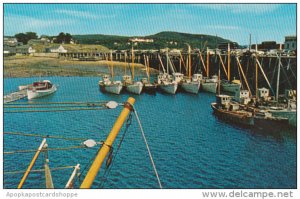 Canada Nova Scotia Digby The Famous Digby Scallop Fleet