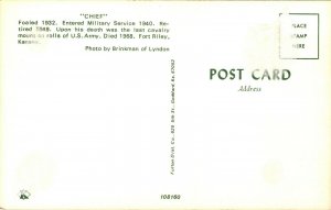 Postcard KS Fort Riley Chief Last Horse Used by US Cavalry Forces 1970s M62
