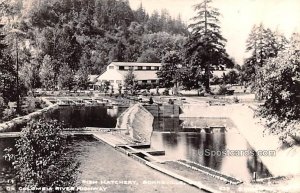 Fish Hatchery - Bonneville, Oregon OR  