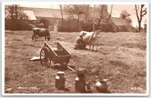 Vintage Jersey Cows Milking Scene RPPC Postcard Valentine's H.5173