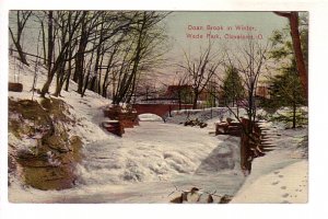 Doan Brook in Winter, Snow, Wade Park, Cleveland, Ohio, Used 1910