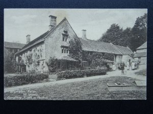 Somerset YEOVIL BRYMPTON FARM Loading Milk Churns - Old St. Ivel Postcard