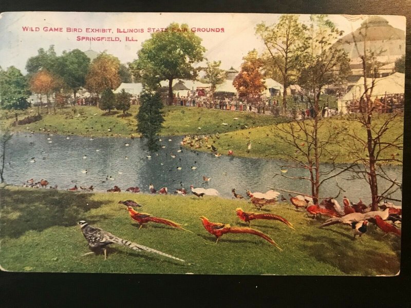 Vintage Postcard 1910 Game Bird Exhibit,  State Fair, Springfield Illinois (IL)