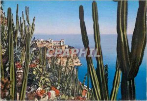Postcard Modern MONTE CARLO The Rock of Monaco for the Exotic Gardens