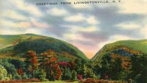 NY - Greetings from Livingstonville, NY