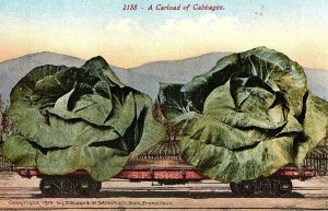 C.1910 California Exaggerated Giant Carload of Cabbages Postcard P123