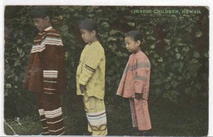 Chinese Children Hawaii 1910c postcard