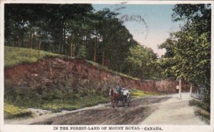 Canada In The Forest Land Of Mount Royal 1929