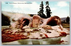 Wyoming~Grotto Geyser Scene @ Yellowstone Natl Park~PM 1912~Vintage Postcard