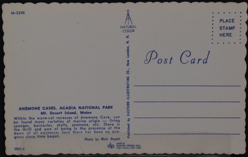 Mt. Desert Island, ME - Anemone Caves, Acadia National Park