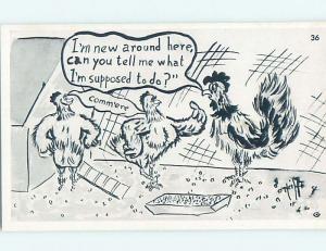 Pre-1980 comic signed ROOSTER ASKS HEN CHICKENS WHAT HE SHOULD DO HL3602@