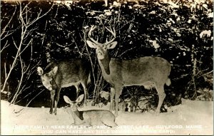 Salesman Sample Deer Family Earley's Camps Guilford Maine ME UNP Postcard B9