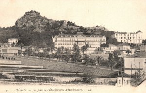 Vintage Postcard Hyeres Vue Prise De L'Etablissement D'Horticulture France