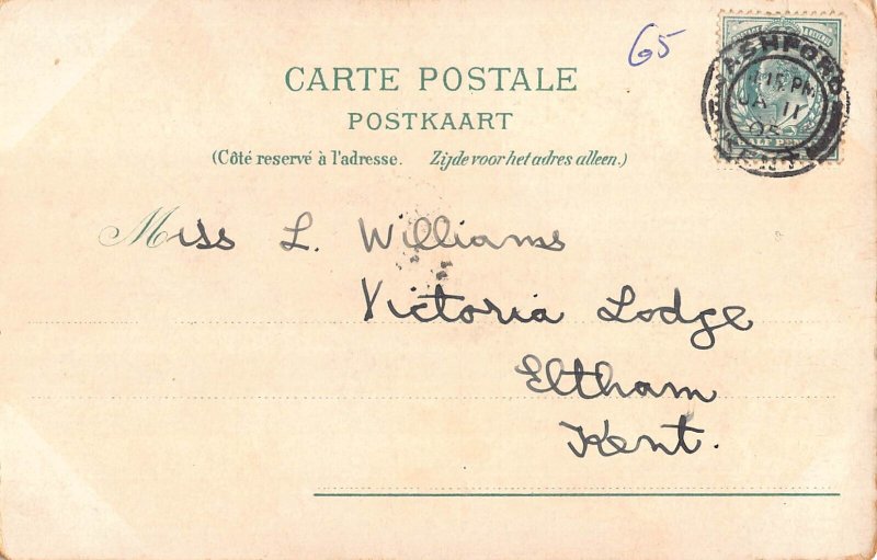 A902 Belgium 1905 Souvenir de Spa Flowers promenade Tourists litho postcard