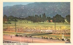 1940s Horse Racing Santa Anita California Arcadia Fraser postcard 6520