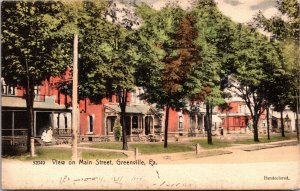 Hand Colored Postcard View on Main Street in Greenville, Pennsylvania~135763