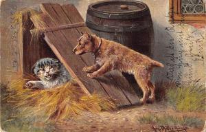 BR57579 dog chien chat cat animals