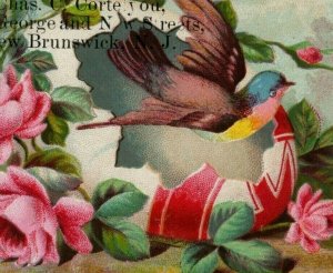 Lot Of 4 1880's Poor Man's Dyes Chas. C. Cortelyou Giant Eggs Birds Easter P160