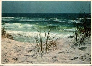 Florida Panama City Beach Waves and Sand Dunes