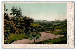 1906 View Of Pathway & Piedmont Park Oakland California CA Antique Postcard